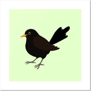 Blackbird digital drawing Posters and Art